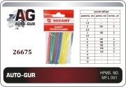 Auto-GUR 26675