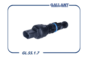 Gallant GLSS17