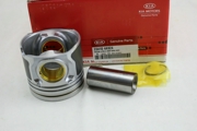 Hyundai-KIA 234104A924