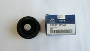 Hyundai-KIA 252872F000