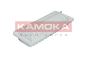 KAMOKA F212101